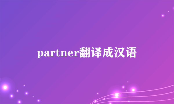 partner翻译成汉语