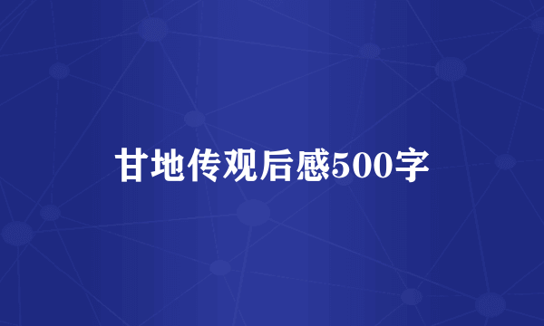 甘地传观后感500字