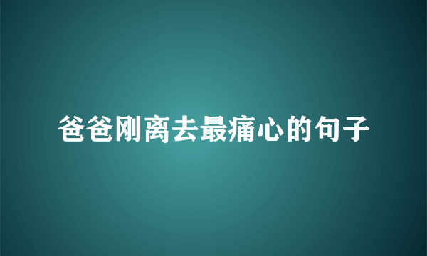 爸爸刚离去最痛心的句子