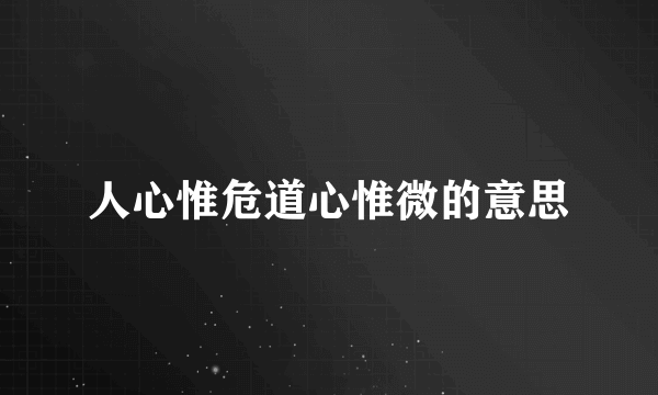 人心惟危道心惟微的意思