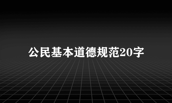 公民基本道德规范20字