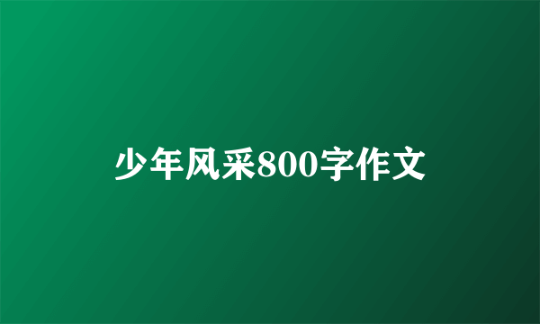 少年风采800字作文