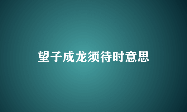 望子成龙须待时意思