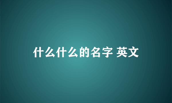 什么什么的名字 英文