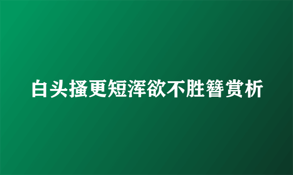 白头搔更短浑欲不胜簪赏析