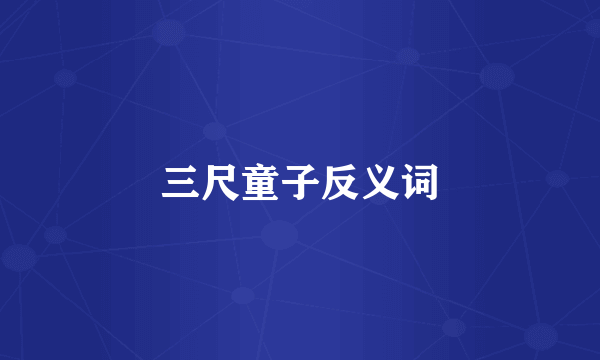 三尺童子反义词