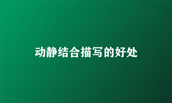 动静结合描写的好处