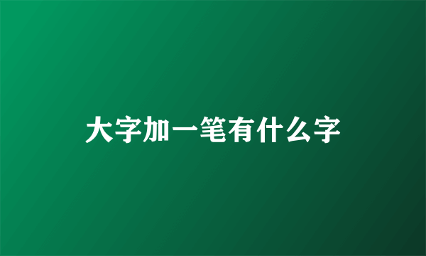 大字加一笔有什么字
