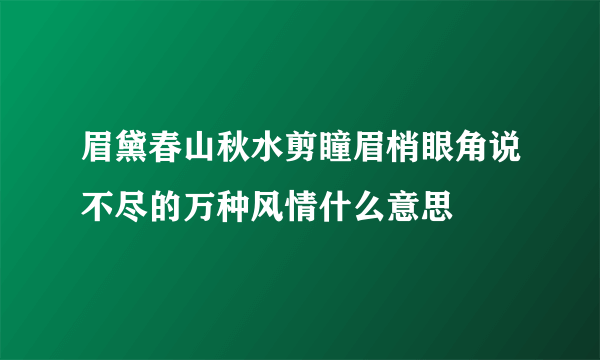 眉黛春山秋水剪瞳眉梢眼角说不尽的万种风情什么意思