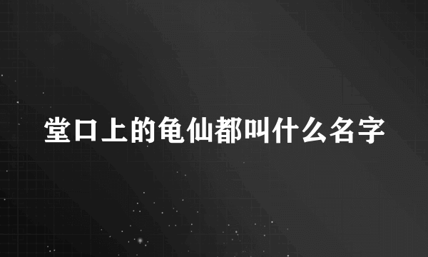 堂口上的龟仙都叫什么名字