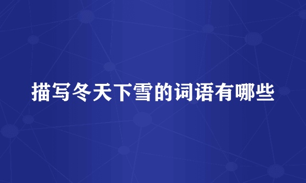 描写冬天下雪的词语有哪些