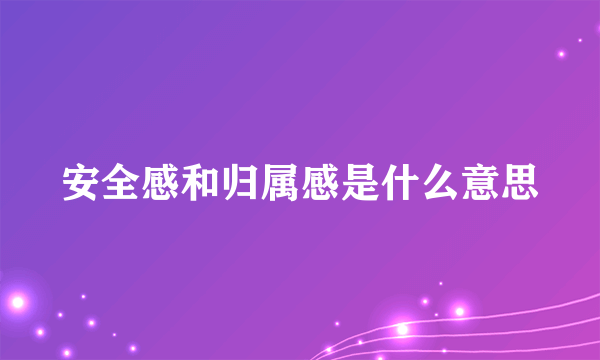 安全感和归属感是什么意思