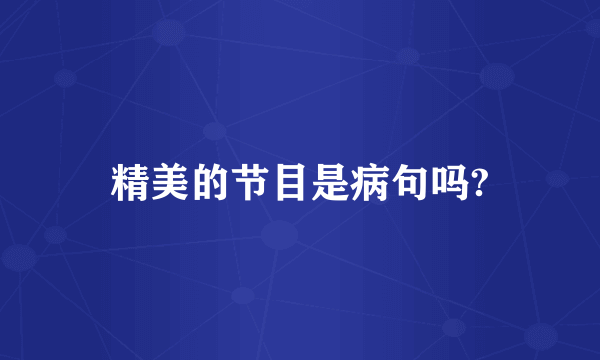 精美的节目是病句吗?