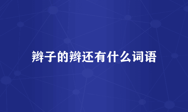 辫子的辫还有什么词语