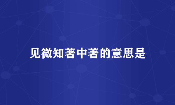 见微知著中著的意思是