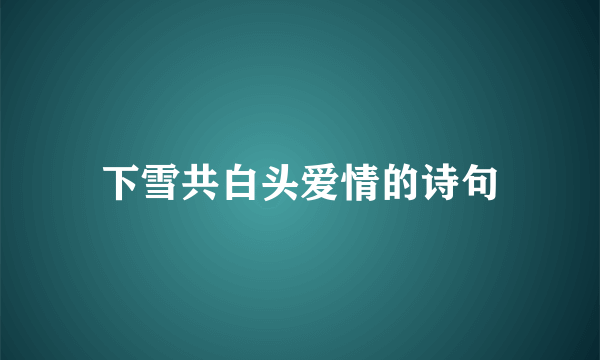 下雪共白头爱情的诗句