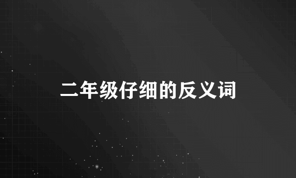 二年级仔细的反义词