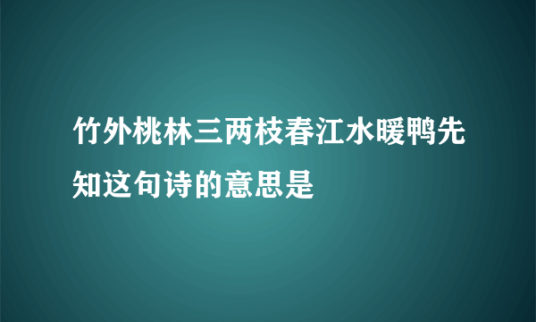 竹外桃林三两枝春江水暖鸭先知这句诗的意思是