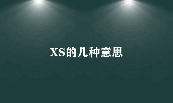 XS的几种意思