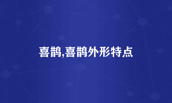 喜鹊,喜鹊外形特点