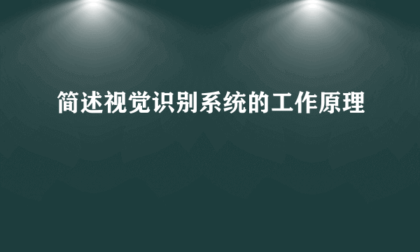 简述视觉识别系统的工作原理
