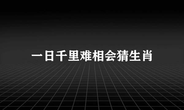 一日千里难相会猜生肖