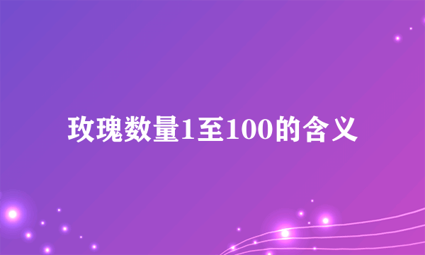 玫瑰数量1至100的含义