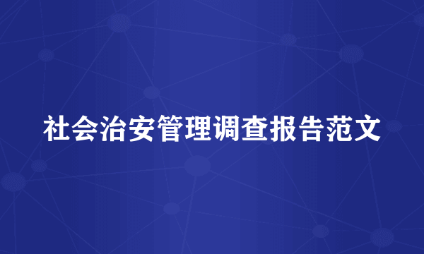 社会治安管理调查报告范文