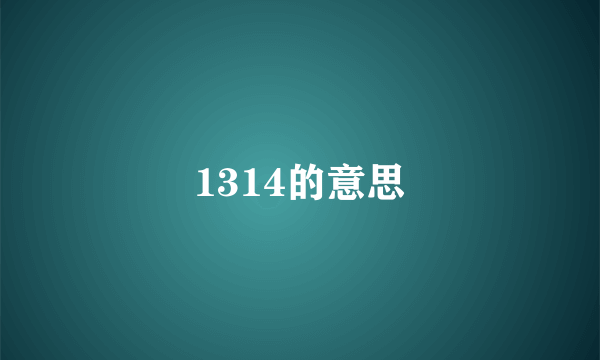 1314的意思