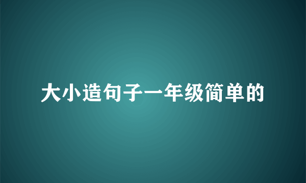 大小造句子一年级简单的