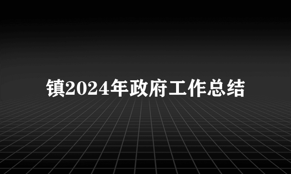 镇2024年政府工作总结