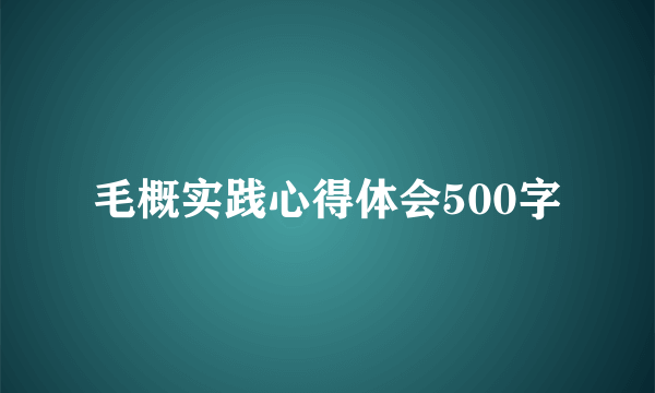 毛概实践心得体会500字