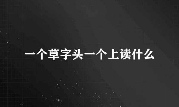 一个草字头一个上读什么