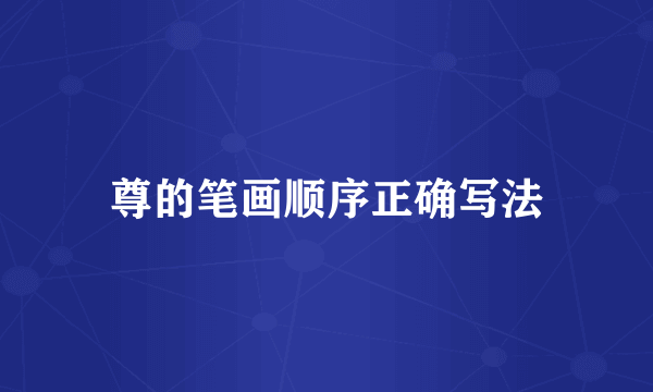 尊的笔画顺序正确写法