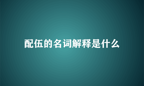 配伍的名词解释是什么