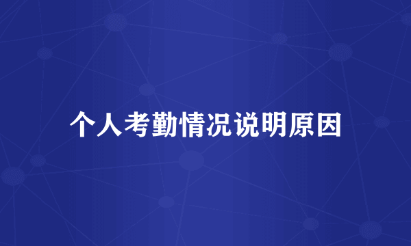 个人考勤情况说明原因