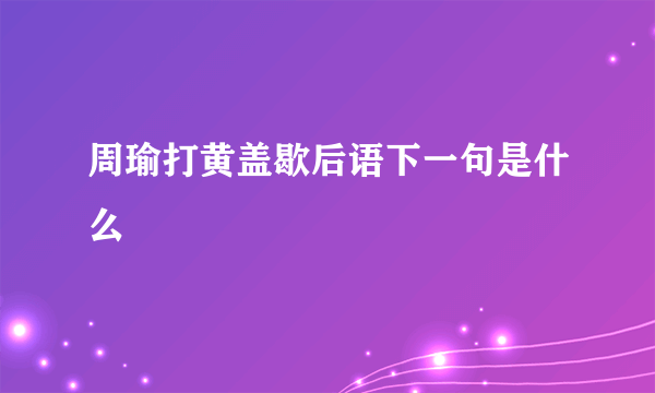 周瑜打黄盖歇后语下一句是什么