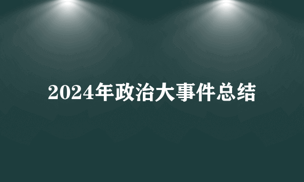 2024年政治大事件总结