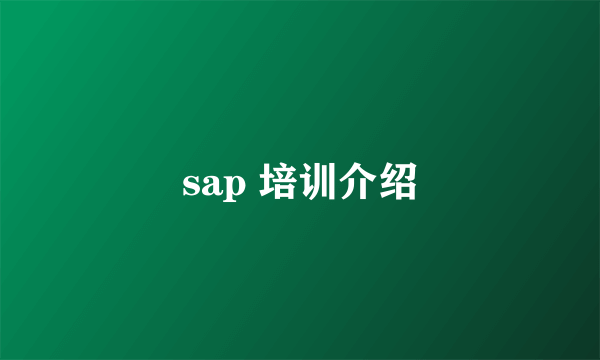 sap 培训介绍