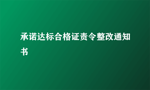 承诺达标合格证责令整改通知书