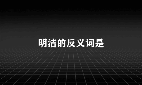 明洁的反义词是