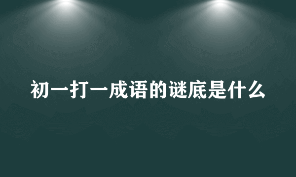 初一打一成语的谜底是什么
