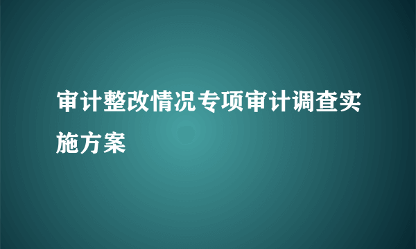 审计整改情况专项审计调查实施方案
