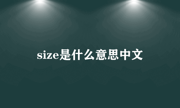 size是什么意思中文