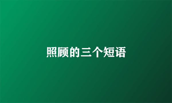 照顾的三个短语