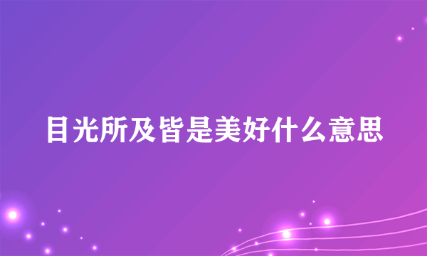 目光所及皆是美好什么意思