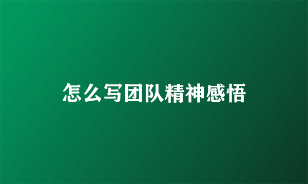 怎么写团队精神感悟
