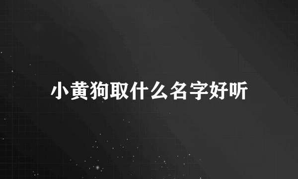 小黄狗取什么名字好听