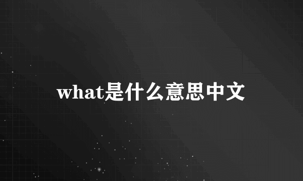 what是什么意思中文