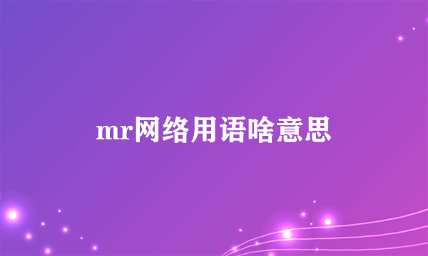 mr网络用语啥意思